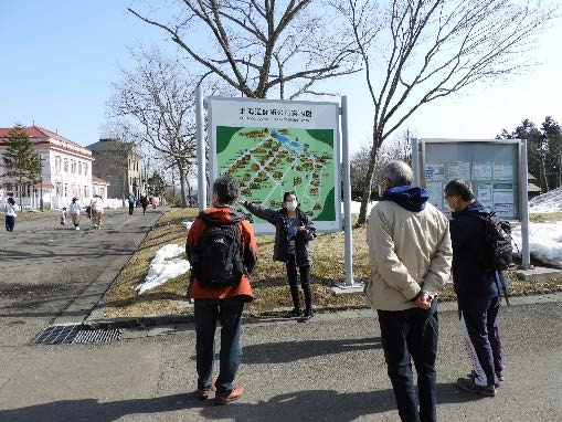 札幌国際大学　国際教養学科　博物館　学芸員