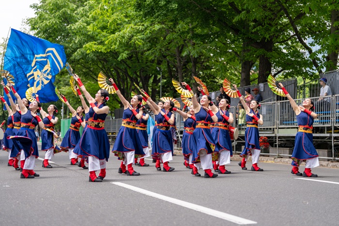 札幌国際大学　YOSAKOI　清麗祭