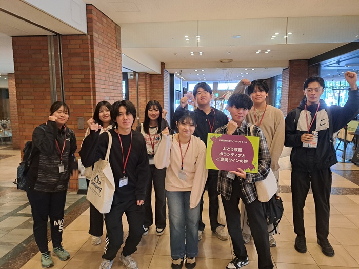 札幌国際大学　観光学部　ボランティア　仁木町　ブドウ収穫