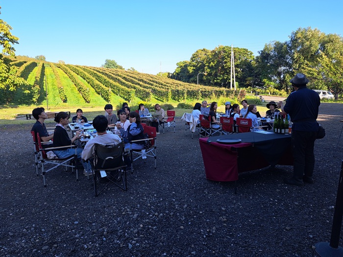 札幌国際大学　観光学部　ボランティア　仁木町　ブドウ収穫