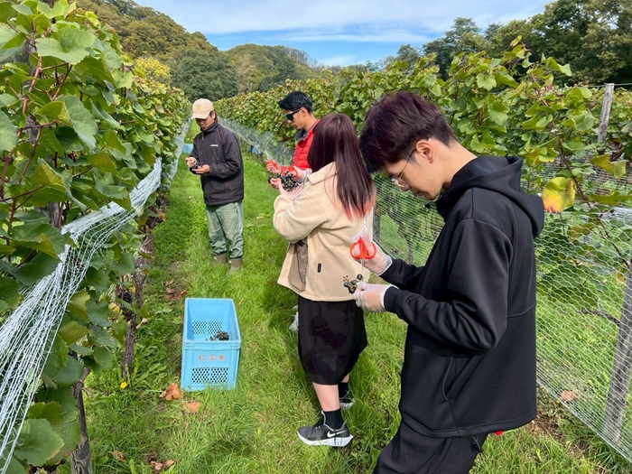 札幌国際大学　仁木町　トマップファーム