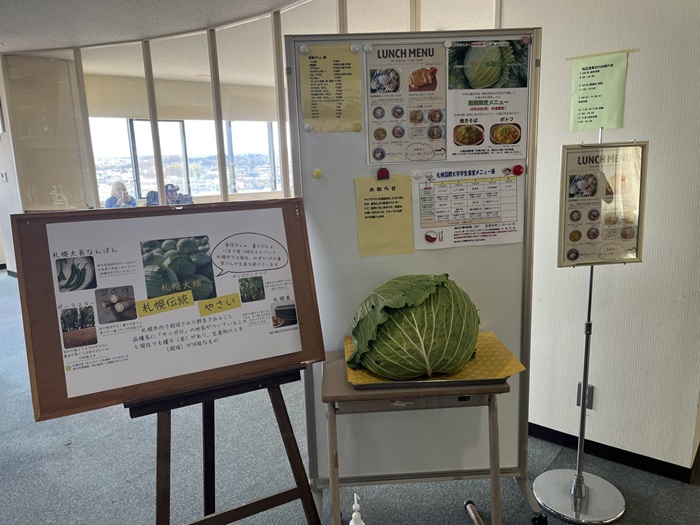 札幌国際大学　観光学部　札幌大球