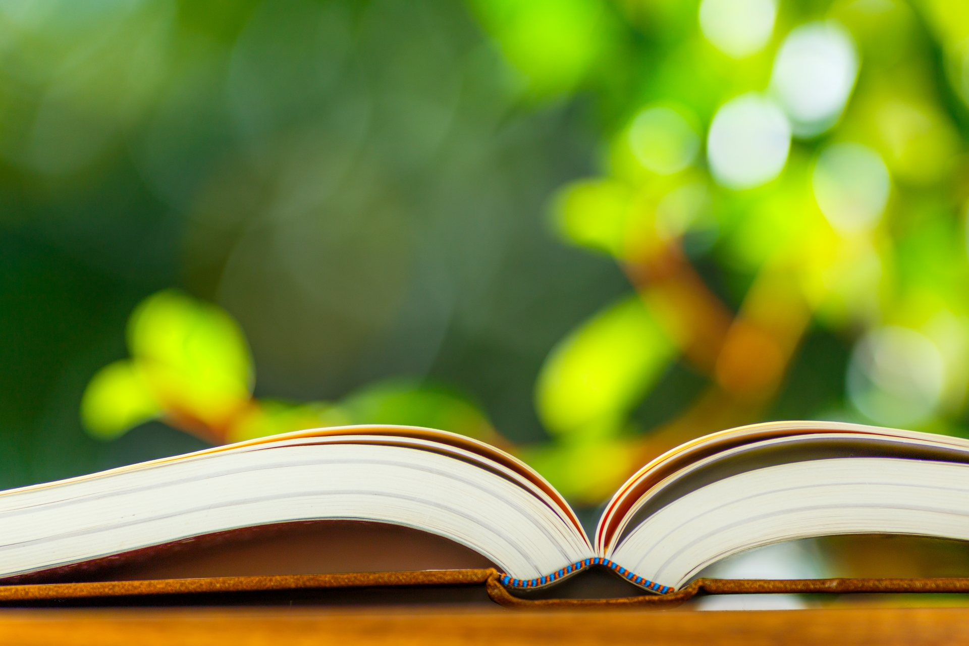 5月の図書館利用日についてのサムネイル画像